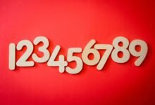 beginner s guide to phone number