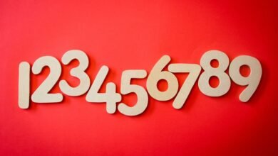 beginner s guide to phone number