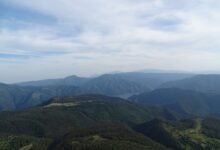 top things to know about zopalno far
