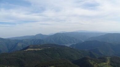 top things to know about zopalno far