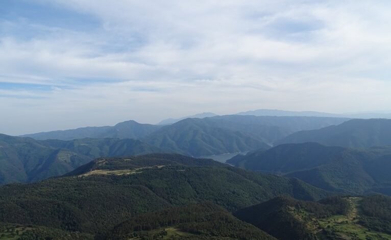 top things to know about zopalno far